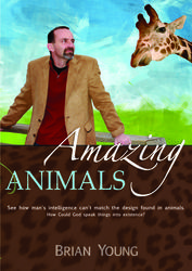 Amazing Animals by Brian Young